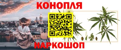 прущие грибы Кулебаки